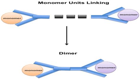 dimers.com|Dimer .